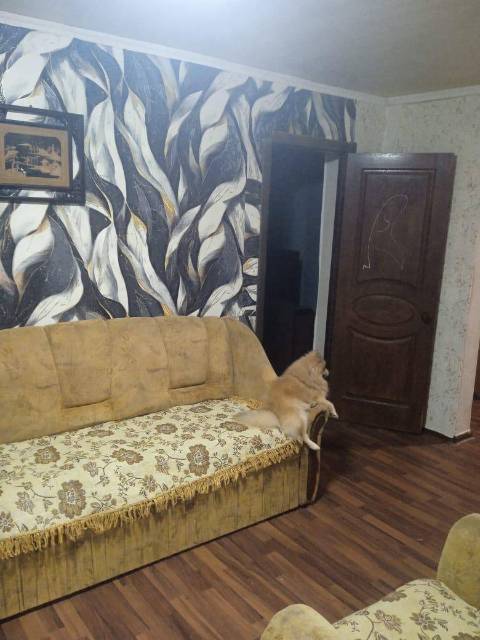 Дом 282,6 кв.м, здание 48,9 кв.м. и земельный участок 525 +/-1 кв.м. в Севастополе - Изображение 3