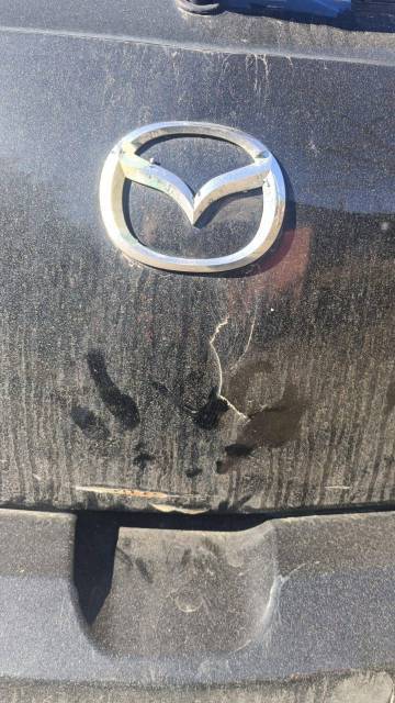 Mazda 3, 2008 года, 104,7 лс, 260000 км - Изображение 21