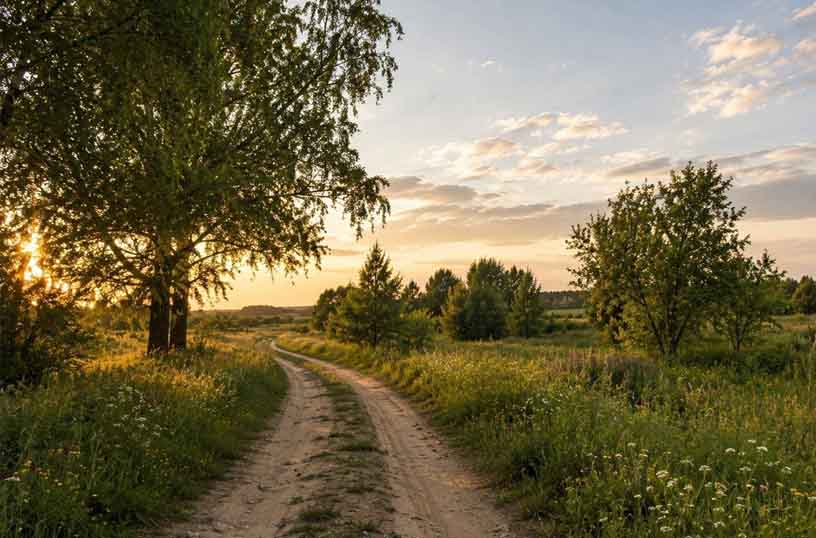 Земельные участки 9,7 га ИЖС в Коттеджном посёлке «Полетаево» - пригород Челябинска - Изображение 1