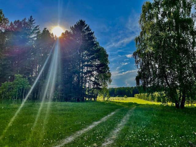 Коттеджный посёлок 6,5 га в пригороде Красноярска - Изображение 2
