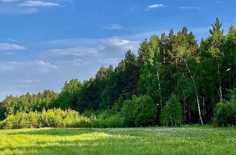 Коттеджный посёлок 6,5 га в пригороде Красноярска - Изображение 1