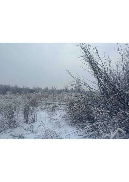Земельный участок в Абакане, 567 кв.м - Изображение 5