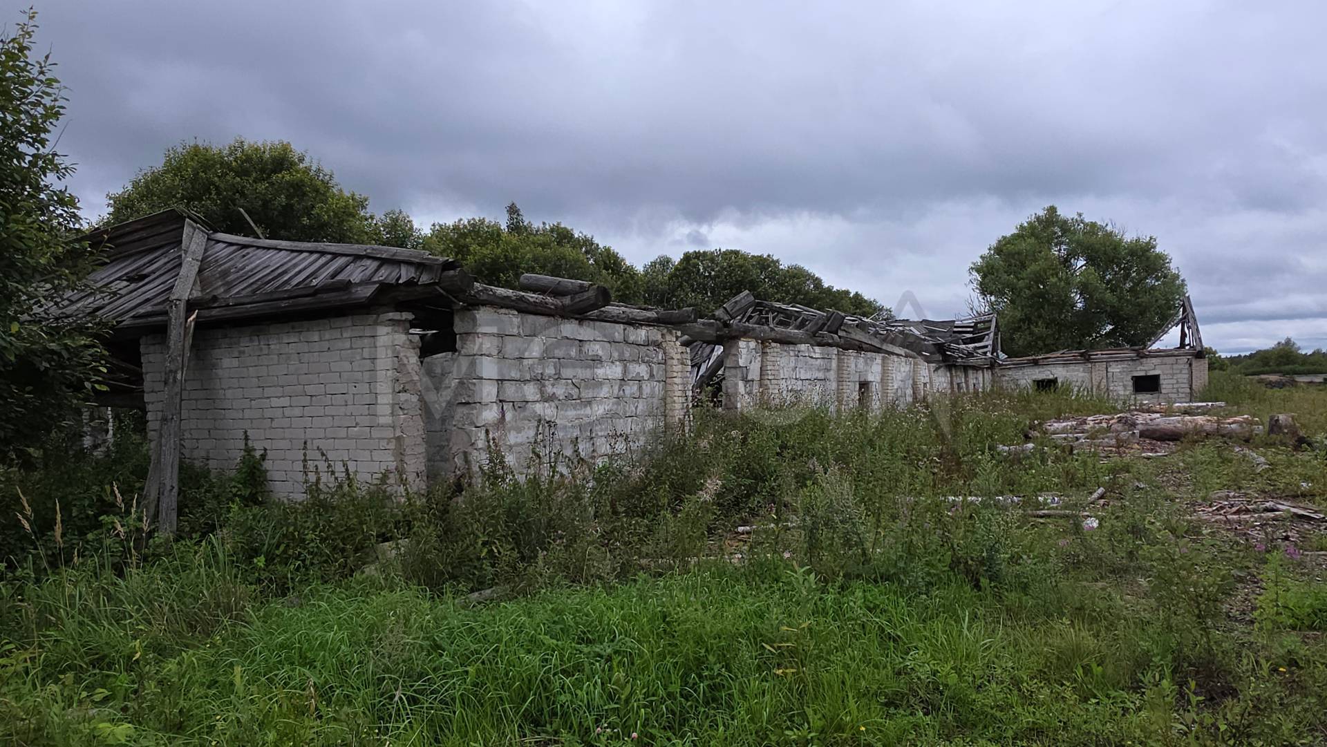Коровник в Тверской обл., 1056 кв.м - Изображение 1