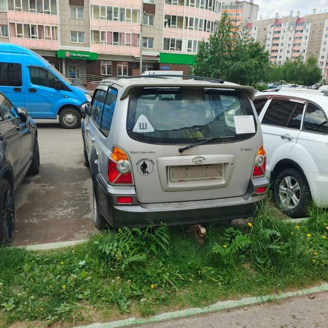 Hyundai Terracan, 2002 года, 103 лс,  400000 км, АКПП - Изображение 4