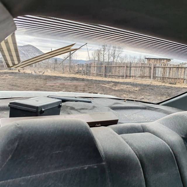 Toyota Camry, 1985 года, 140 лс, 222324 км, АКПП - Изображение 16