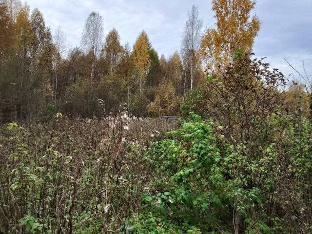588/532827 доля земельного участка в Кирове - Изображение 4