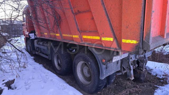 КАМАЗ 6520-43, 2017 года; Трайлер ТМ 11, 1994 года - Изображение 3