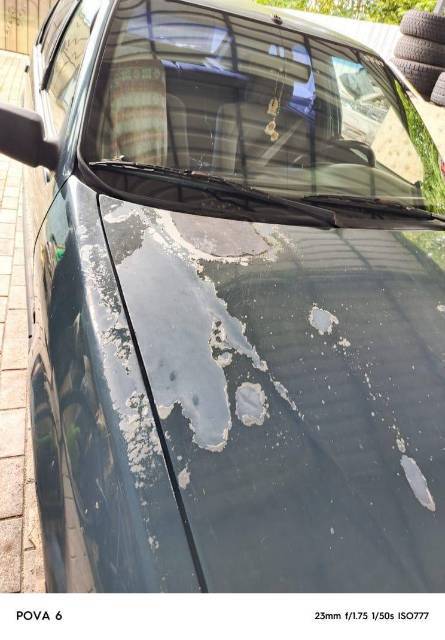 Renault 19, 1993 года, 88 лс, 432 884 км - Изображение 9