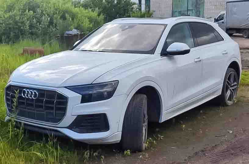 Audi Q8, 2018г. - Изображение 1