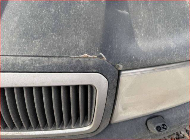 Skoda Octavia, 2009 года, 102 лс, 340000 км - Изображение 8
