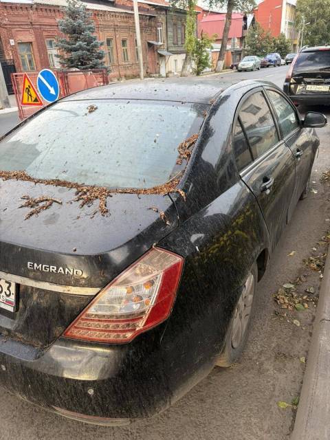 Geely Emgrand (FE-1), 2013 года, 98 лс, 273000 км - Изображение 3