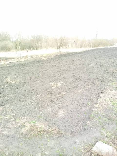 Дом 36,6 кв.м. и земельный участок 3500 кв.м. в Мордовии - Изображение 8