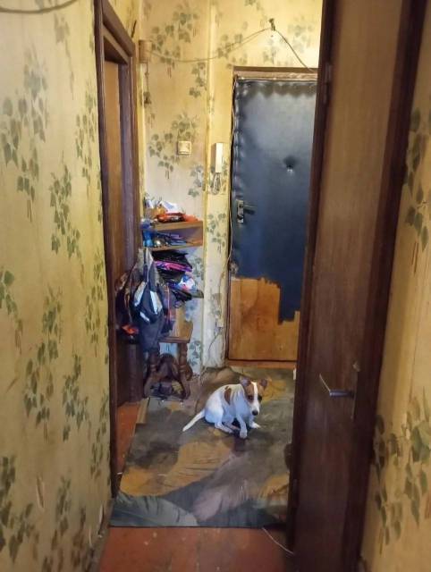 Квартира в Московской обл., 32,5 кв.м, 1 комн. - Изображение 6