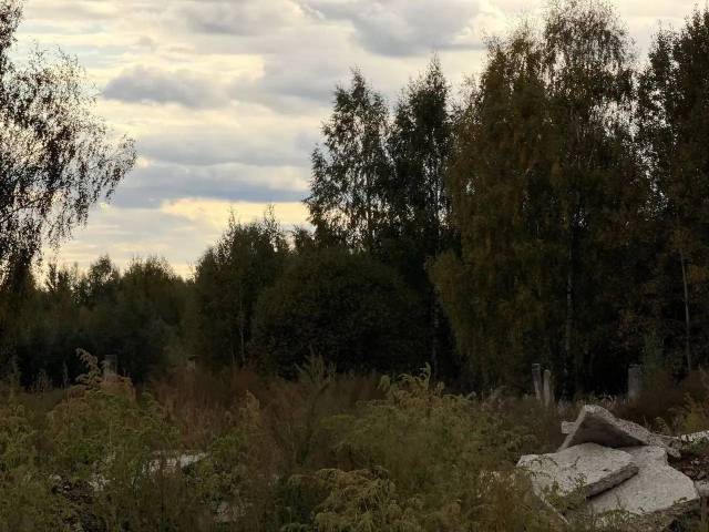 Земельный участок в Ярославской обл., 1000 кв.м. - Изображение 3
