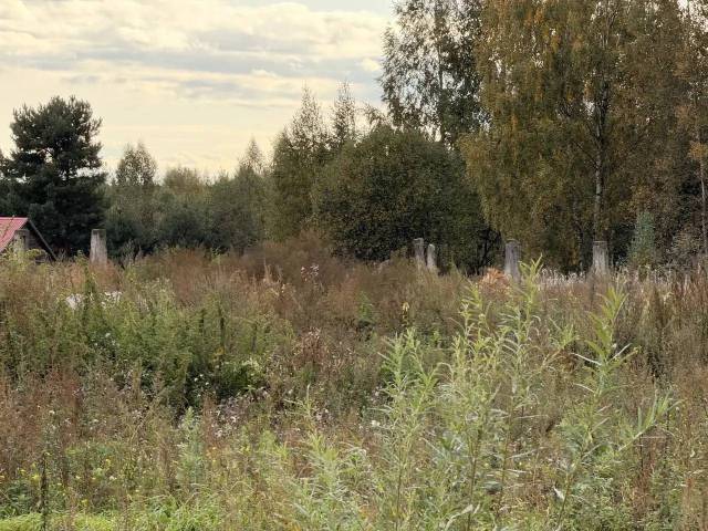 Земельный участок в Ярославской обл., 1000 кв.м. - Изображение 7