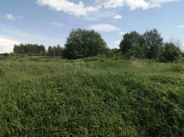 Земельный участок в Ярославской области, 705 кв.м. - Изображение 2