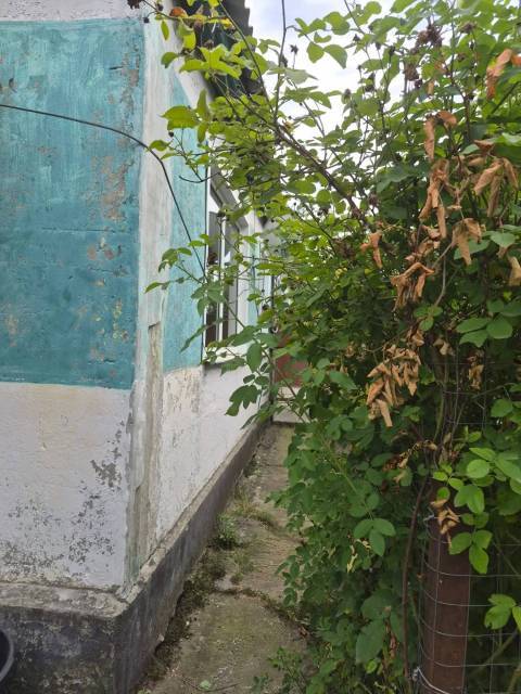 Квартира 60,8 кв.м. и земельный участок 793 кв.м. в Ставропольском крае - Изображение 3
