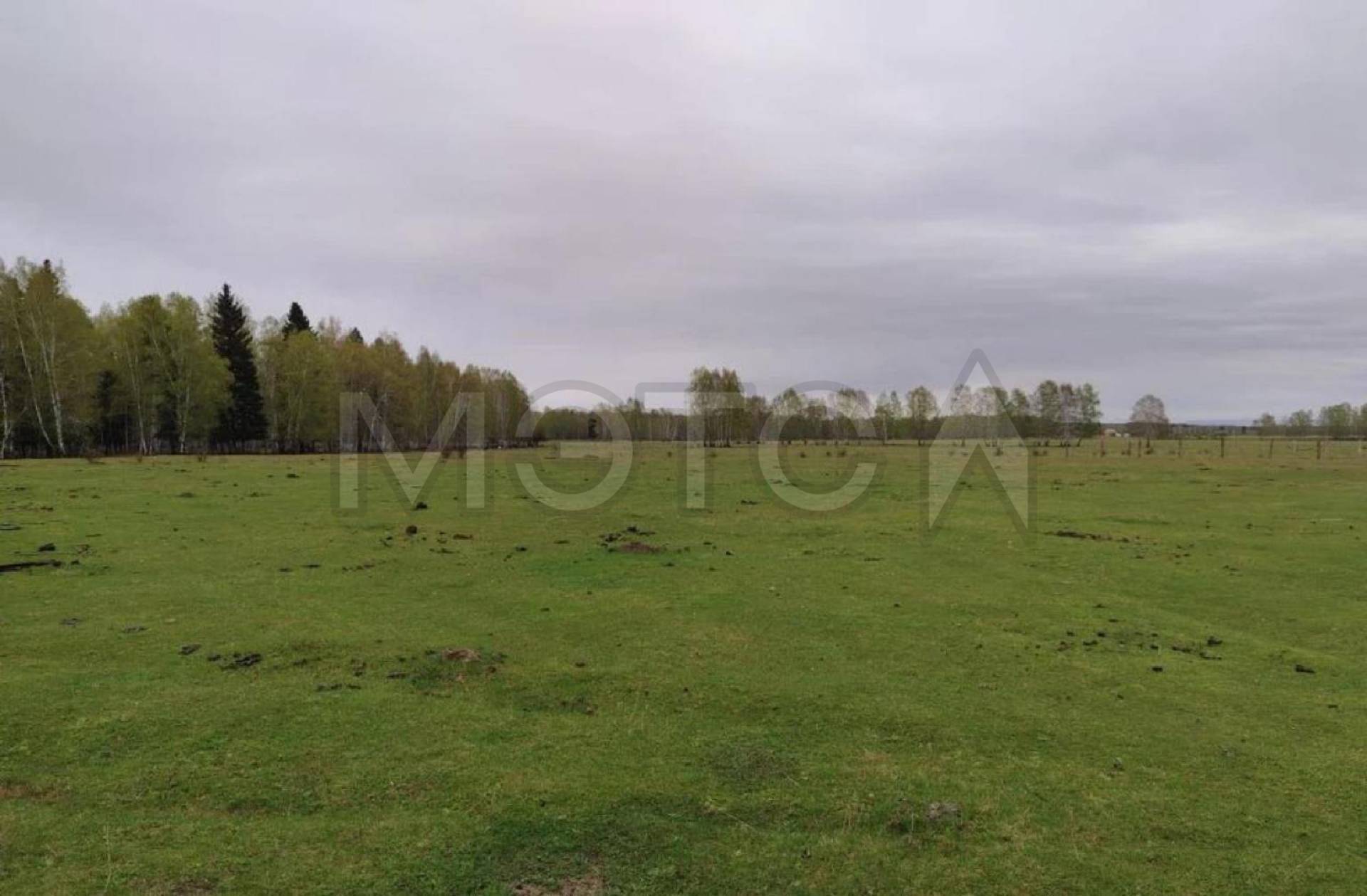 Земельный участок в Бурятии, 1500+/-14 кв.м. - Изображение 1