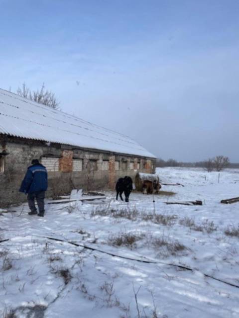 Доли зданий и 1/3 доля земельного участка в Воронежской обл. - Изображение 2