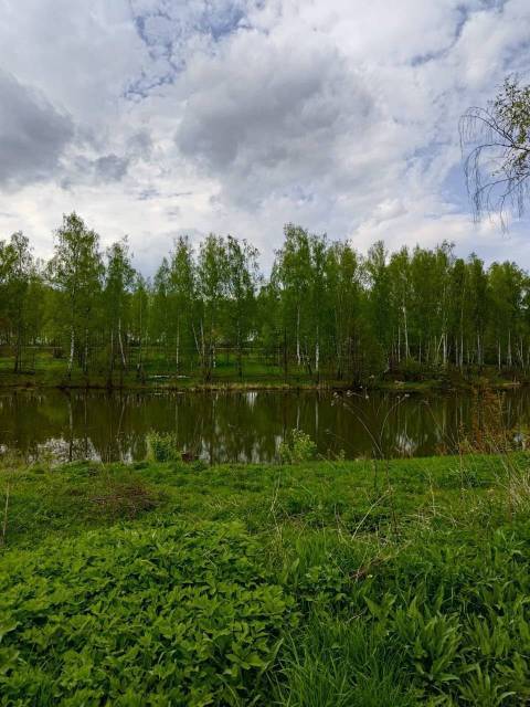 Земельные участки ИЖС 18,5 га, Калужская область - Изображение 4