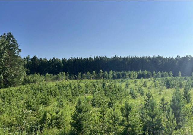 Коттеджный посёлок 6,5 га в пригороде Красноярска - Изображение 3