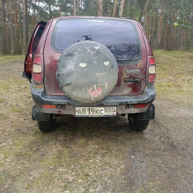 Chevrolet Niva, 2004 года, 80 лс, 200000 км, полный привод - Изображение 4
