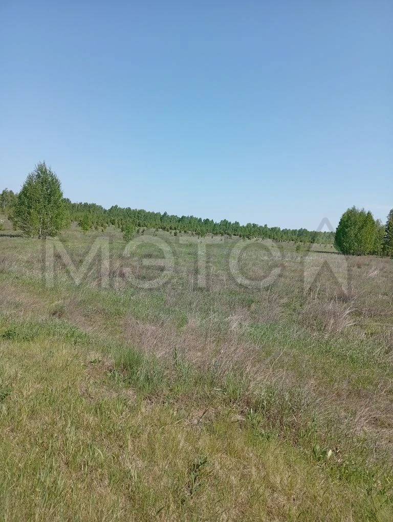 Земельный участок в Курганской обл., 260000 кв.м. - Изображение 1