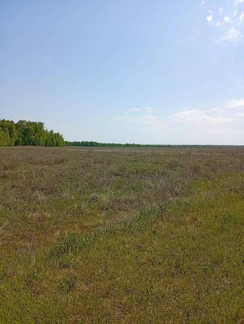 Земельный участок в Курганской обл., 260000 кв.м. - Изображение 2