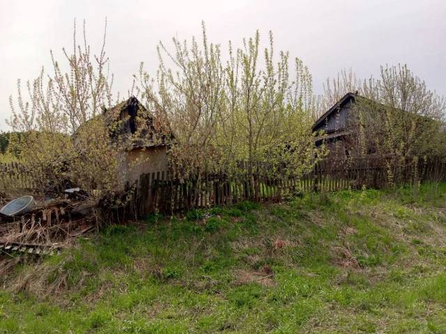 1/2 доля дома в Оренбургской обл. - Изображение 16