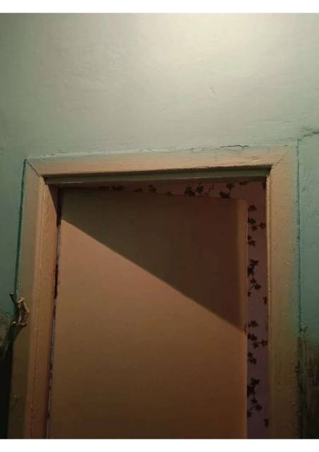 Квартира в Рязанской обл., 30 кв.м, 1 комн. - Изображение 10