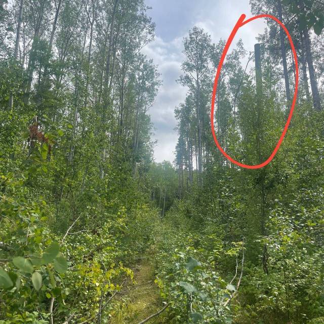 Земельный участок в Бурятии, 796 кв.м - Изображение 5