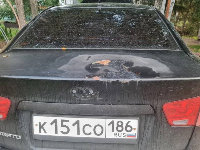 Kia Cerato, 2009 года, 126 лс, 273988 км - Изображение 3