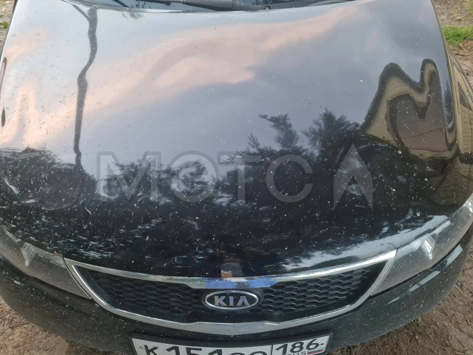 Kia Cerato, 2009 года, 126 лс, 273988 км - Изображение 1