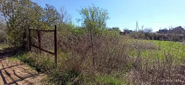 Земельный участок в Оренбургской обл., 500+/-16 кв.м. - Изображение 2