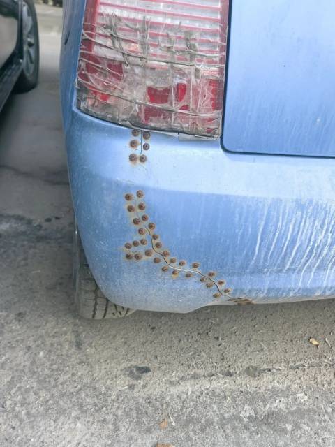 Kia Picanto, 2007 года, 62 лс, 201750 км - Изображение 15
