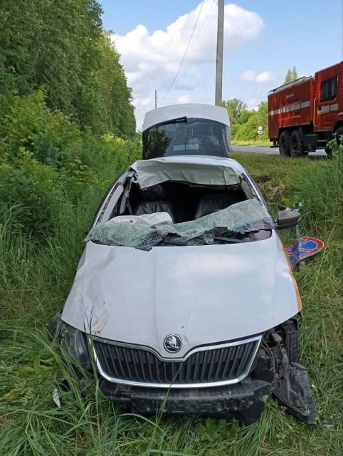 Skoda Rapid, 2019 года, 110 лс - Изображение 2
