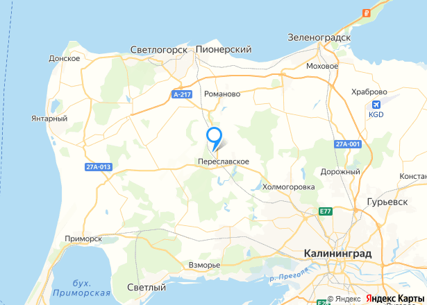 1/2 доля земельного участка в Калининградской обл. - Изображение местоположения
