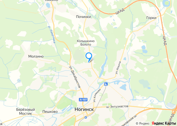 Нежилые помещения 1013,5 кв.м в Подмосковье, г. Ногинск ЖК «Лесная сказка 3» - Изображение местоположения