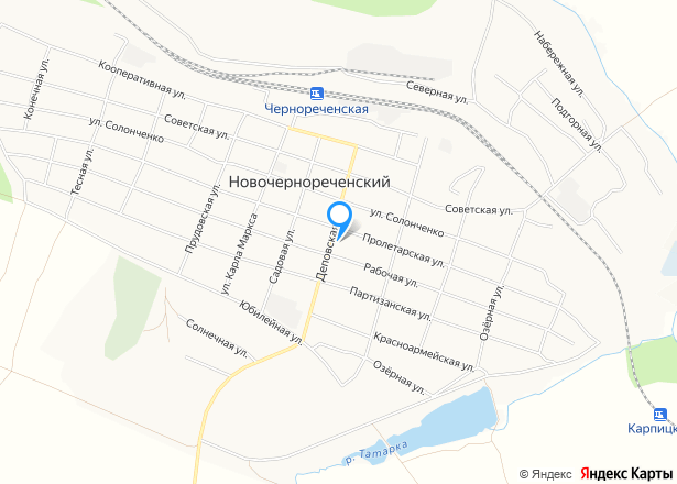 Земельный участок в Красноярском крае 500 +/- 7.83 кв.м. - Изображение местоположения