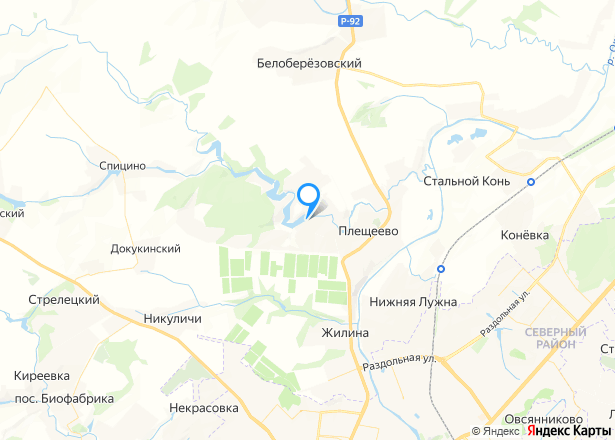 Дом 53,4 кв.м, дом 285,5 кв.м и земельный участок 2000 кв.м в Орловской обл. - Изображение местоположения