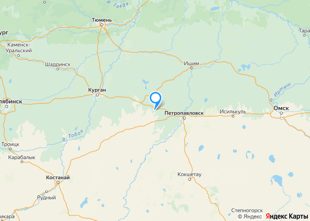 Дом 34 кв.м. и земельный участок 709+/-9.32 кв.м. в Курганской обл. - Изображение местоположения