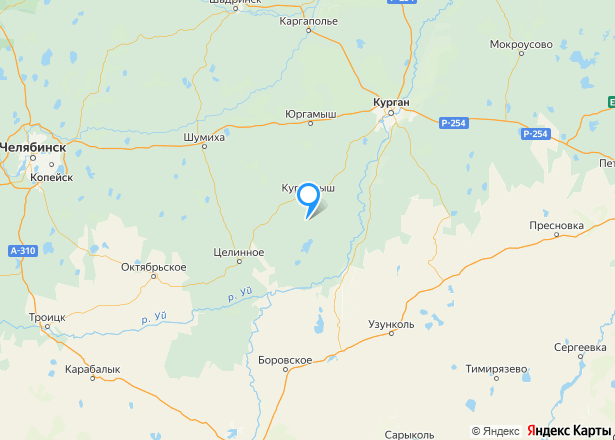 1/9 доля земельного участка в Курганской обл. - Изображение местоположения