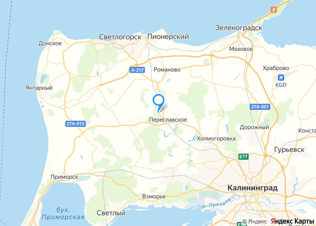 1/2 доля земельного участка в Калининградской обл. - Изображение местоположения