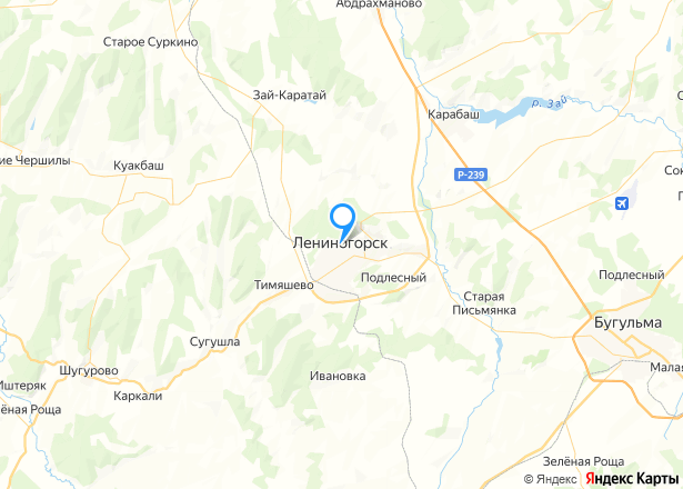 Гараж 24 кв.м. и земельный участок 24 кв.м. в Лениногорске - Изображение местоположения