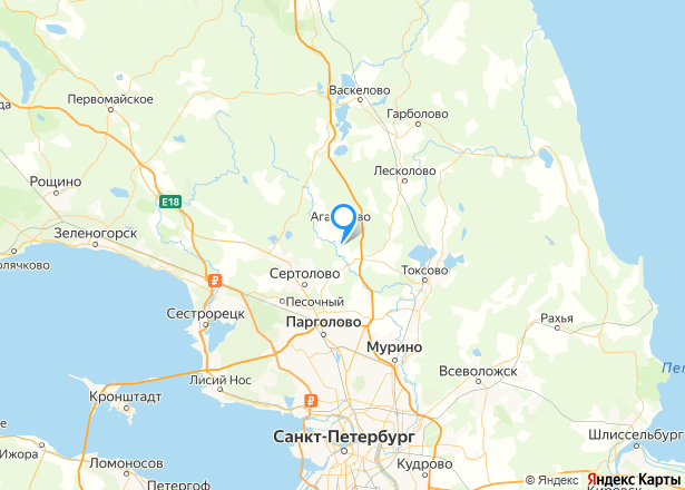 Таунхаус 120,1 кв.м на земельном участке 450 кв.м в Ленинградской обл. (КП 