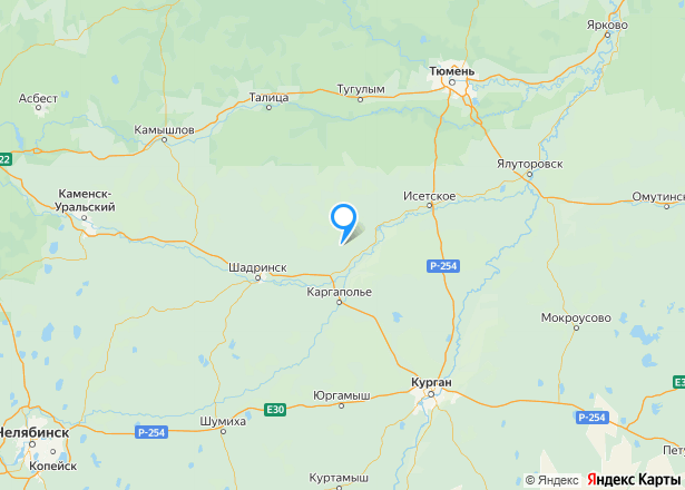 Дом 48,1 кв.м. и земельный участок 1700 кв.м. в Курганской обл. - Изображение местоположения