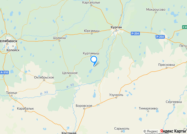 1/3 доля квартиры  и 1/3 доля земельного участка в Курганской обл. - Изображение местоположения