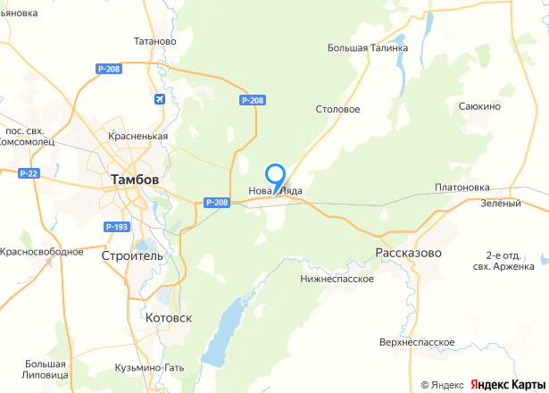 Земельный участок в Тамбовской обл., 2446+/-35 кв.м - Изображение местоположения