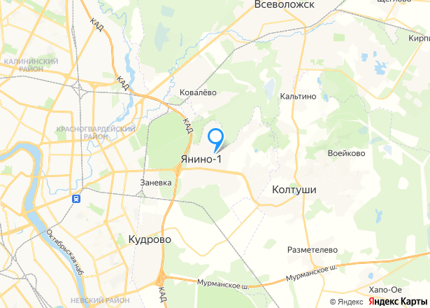Квартира в Ленинградской обл., 57,9 кв.м, 2 комн. - Изображение местоположения
