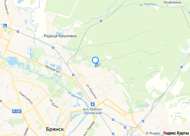 Гараж 22,6 кв.м. и земельный участок 25 кв.м. в Брянске - Изображение местоположения